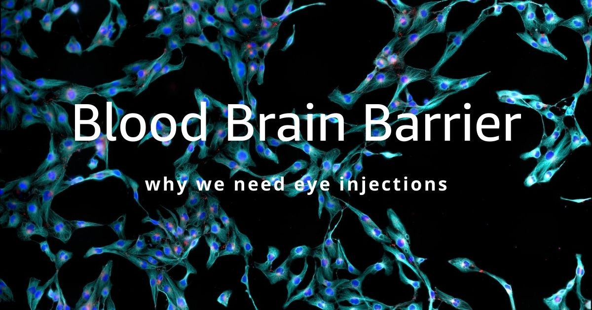 Featured Image | Blood Brain Barrier